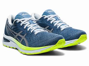 Bezecke Topanky Asics Gel-cumulus 22 Damske Siva Biele | 25346-HAVZ