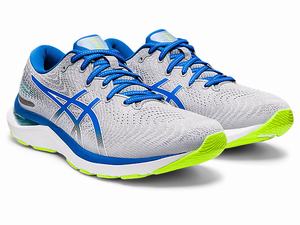 Bezecke Topanky Asics Gel-cumulus 24 Panske Viacfarebný | 84973-OYXQ