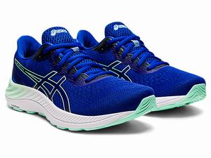 Bezecke Topanky Asics Gel-excite 8 Damske Modre | 27564-WBLV