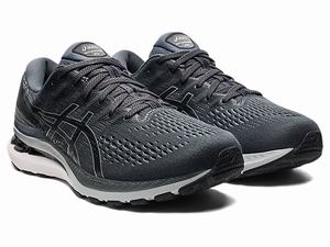 Bezecke Topanky Asics Gel-kayano 28 (2e) Panske Siva Čierne | 82970-IAPU