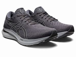 Bezecke Topanky Asics Gel-kayano 29 (2e) Panske Biele | 85690-HXSU