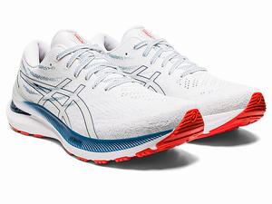 Bezecke Topanky Asics Gel-kayano 29 Panske Biele Tmavo | 31065-JZFV