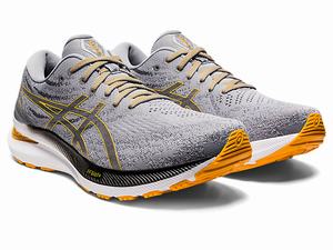 Bezecke Topanky Asics Gel-kayano 29 Panske Viacfarebný | 54162-KELQ