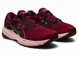 Bezecke Topanky Asics Gt-1000 11 Damske Strieborne | 92478-LBCM