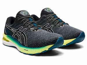 Bezecke Topanky Asics Gt-2000 10 (2e) Panske Tmavo Siva | 26384-ACOF