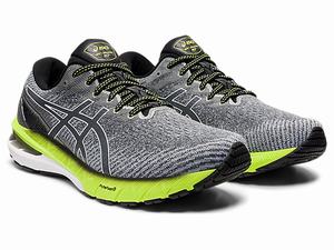 Bezecke Topanky Asics Gt-2000 10 (2e) Panske Siva Biele | 46825-PINO