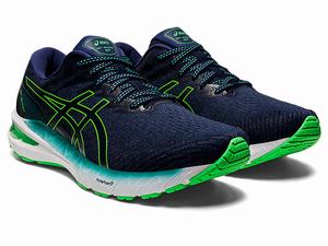 Bezecke Topanky Asics Gt-2000 10 (2e) Panske Viacfarebný | 69385-TIFZ