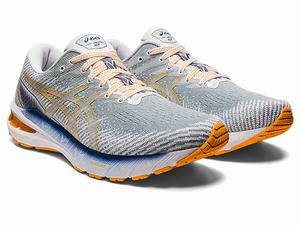 Bezecke Topanky Asics Gt-2000 10 Panske Svetlo Siva | 06397-ALBD