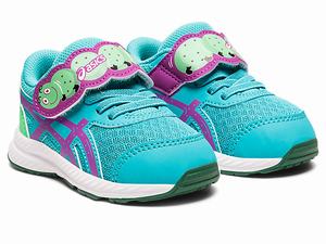 Skolske Topanky Asics Contend 8 Toddler Size Yard Detske Nachový | 51789-XGHM