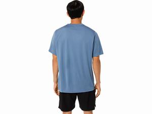 Topy Asics Kratke Sleeve Core Panske Modre | 03746-AFYX