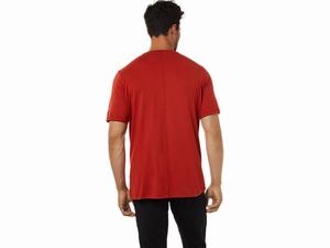 Topy Asics Kratke Sleeve Heather Tech Panske Hnede | 93187-SOWC