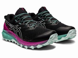 Trailove Bezecke Tenisky Asics Gel-trabuco 10 Gtx Damske Čierne | 06812-OBNG