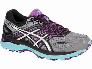 Trailove Bezecke Tenisky Asics Gt-2000 5 Damske Siva Strieborne Nachový | 23904-WCKD