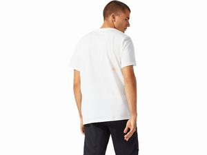 Tricko Asics Jersey Dt Grafika Kratke Sleeve Tee Panske Krém | 47123-YGSI