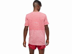 Tricko Asics Race Seamless Kratke Sleeve Panske Bordove | 36879-ZVXH