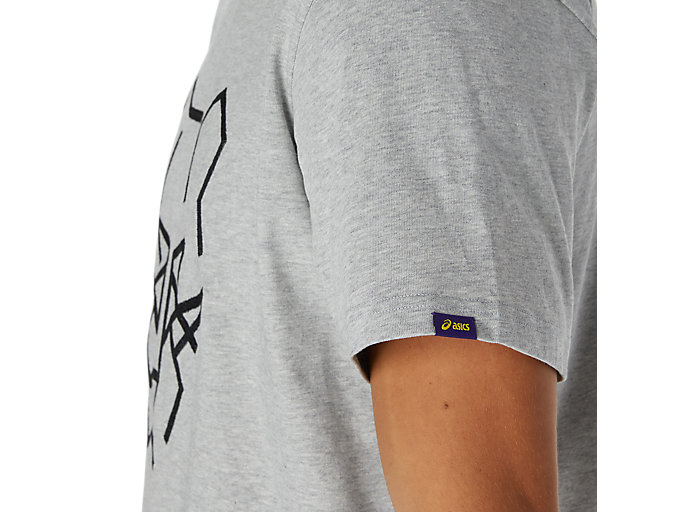 Tricko Asics Dt Grafika Kratke Sleeve Tee Panske Siva | 42051-LFDP