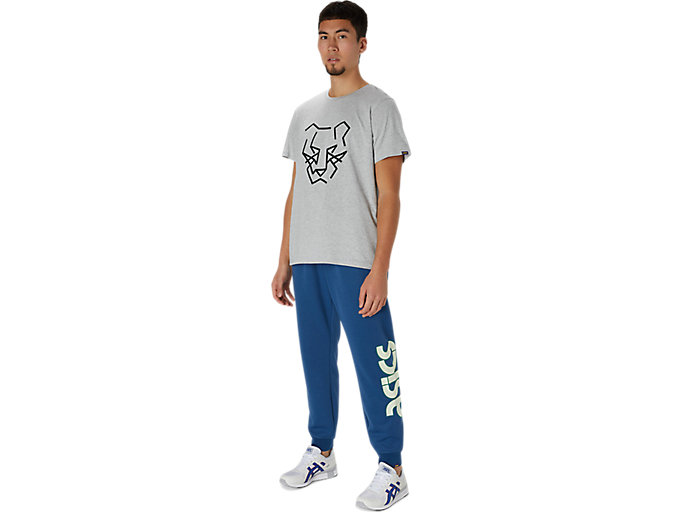 Tricko Asics Dt Grafika Kratke Sleeve Tee Panske Siva | 42051-LFDP