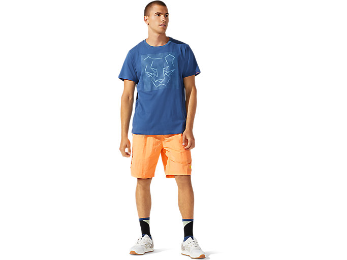 Tricko Asics Jersey Dt Grafika Kratke Sleeve Tee Panske Tmavo Siva | 86312-RVQX